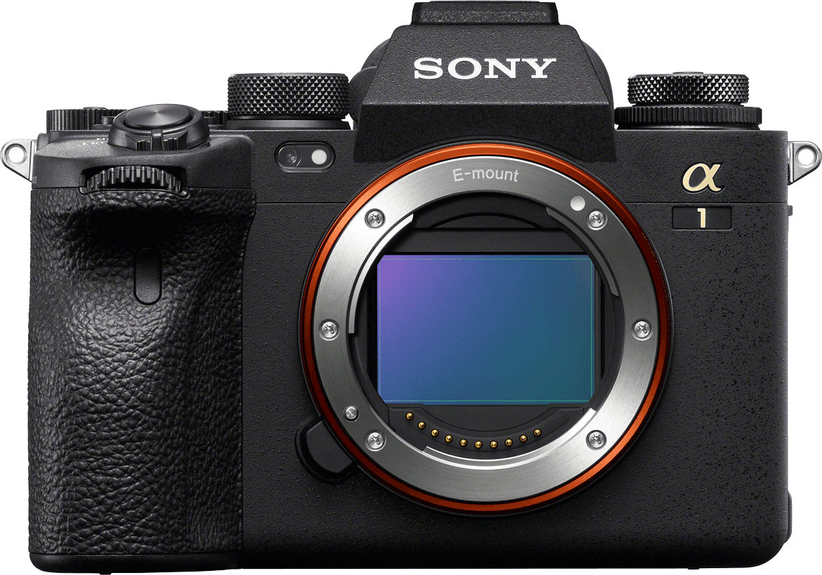 Sony α1